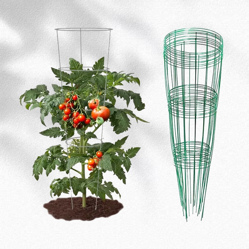 Adjustable Metal Plant Support Frame with Vertical and Horizontal Support for Climbing Plants and Vines