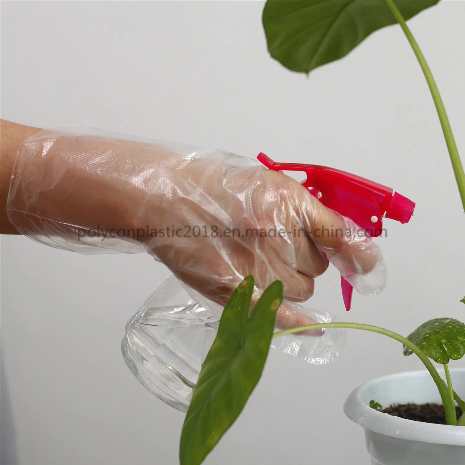 Plastic Clear LDPE Gloves Polythene Disposable Food Dealing Glove with Cheap Price