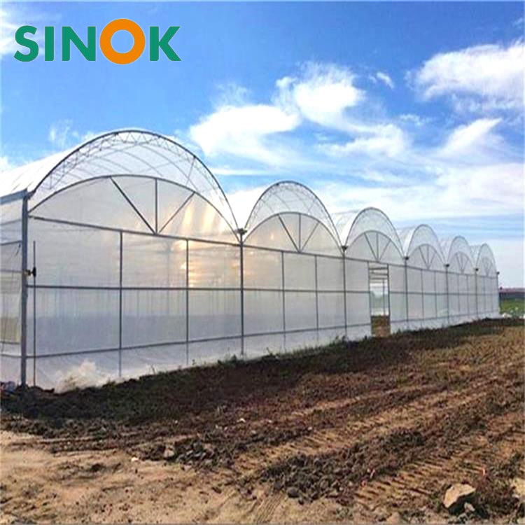 Agricultural Greenhouses Used for Vanilla Cultivation