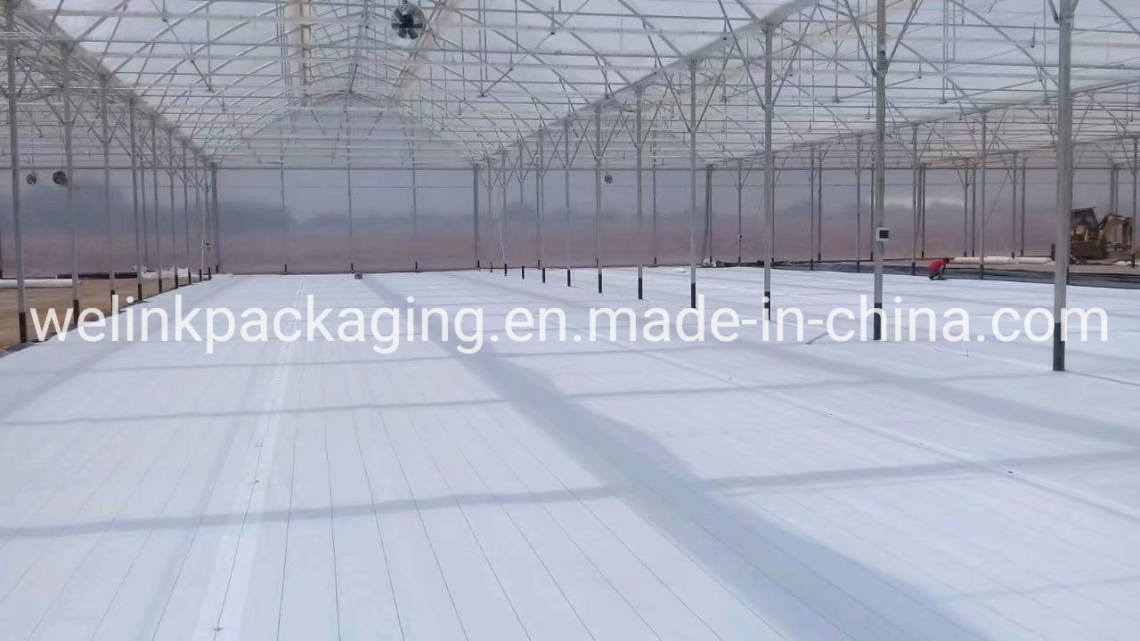 SGS Brc Certified Manufacturer Garden Farm Hydroponic UV Blocked Ground Cover Agrotextiles PP Woven Fabric Weed Control Fabric Weed Stop Fabric Weedmat