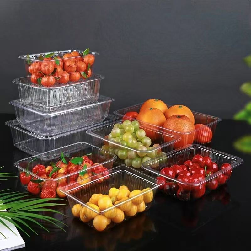 New Pet Material Clear Disposable Plastic Vegetable Fruit Packaging Tray Blister Plastic Fruit Food Tray