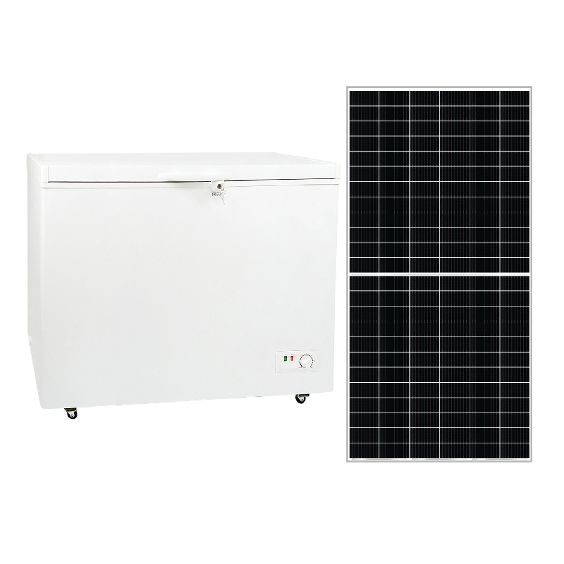 Beach Bar Ice Cream Low-Consumption Solar Chest Inverter Freezer