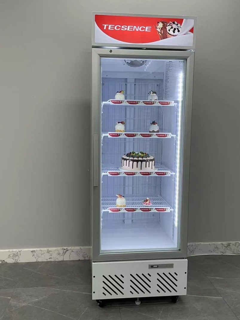 Single Glass Door Ice Cream Commercial Display Freezer