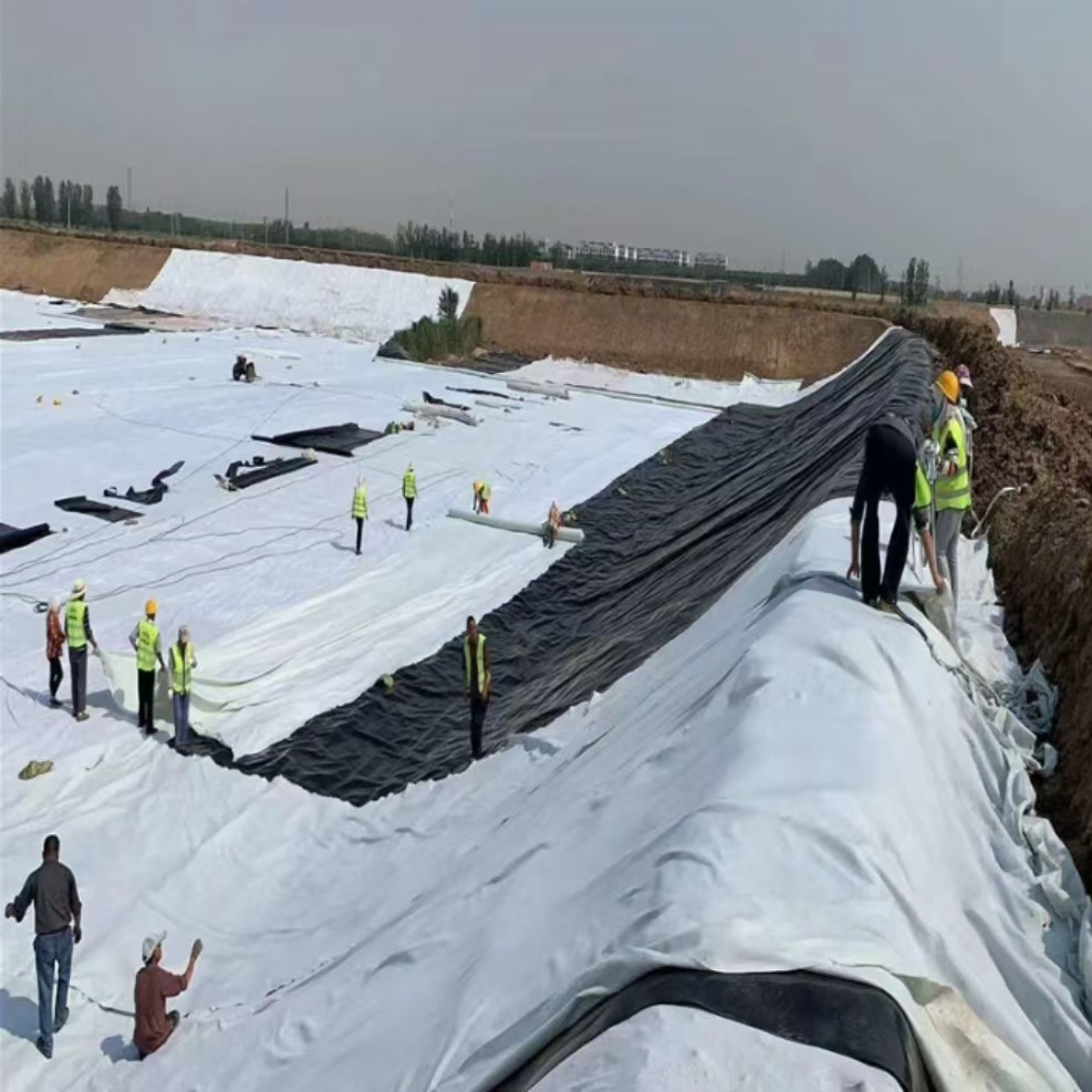 Durable HDPE 3D Composite Drainage Geonet for Highway Roadbed