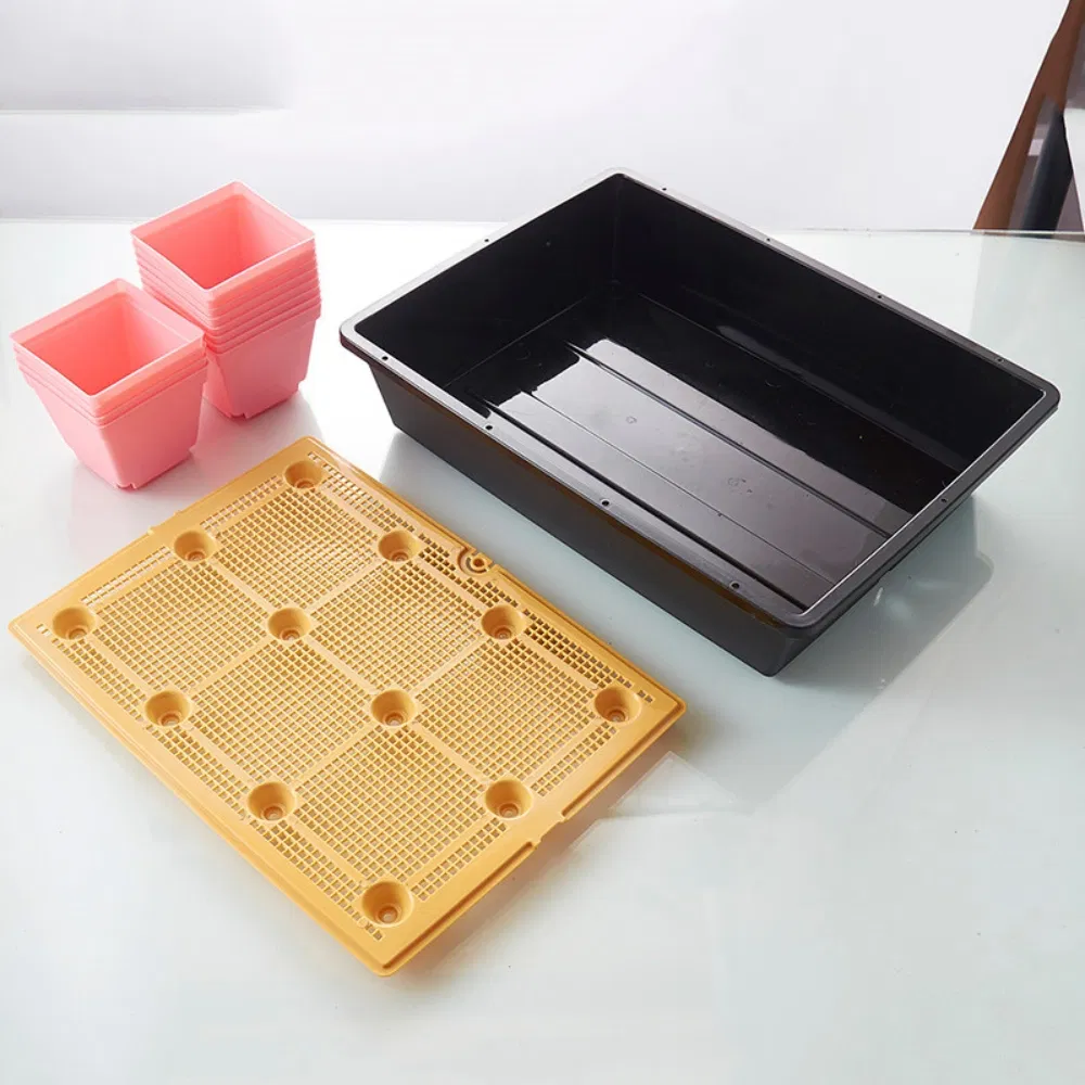 Мини-парник для рассады с прозрачной крышкой