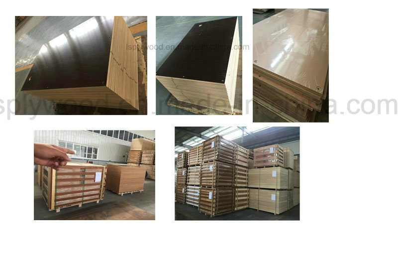 100% Formaldehyde Free Melamine Laminated Board Fireproof Plywood