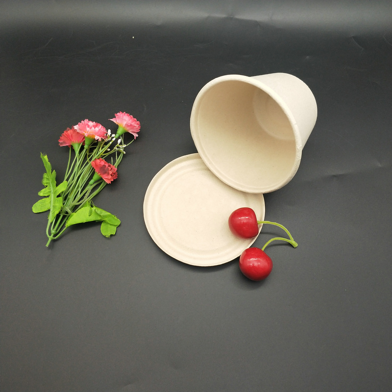 Biodegradable Sugarcane Bagasse 8oz Cup