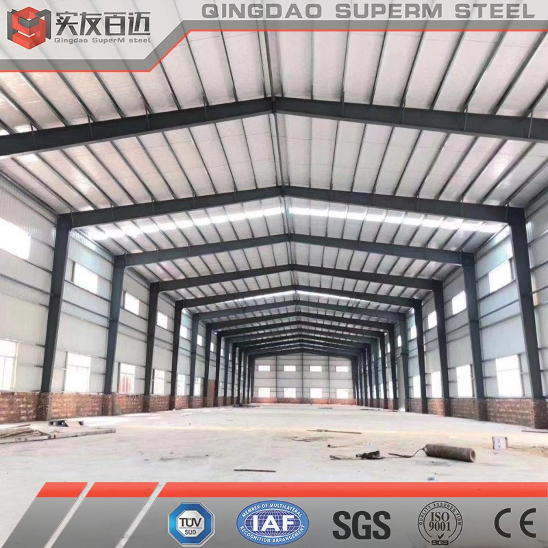 Durable Good Price of Clear Span Without Middle Column Metal Steel Building