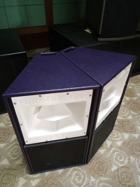 12'' Professional Outdoor Audio Speaker (R1)