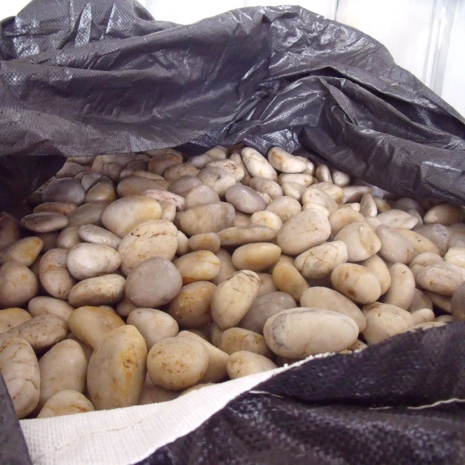 Decoration White Pebble Stone Graphic Design Modern Natural for Garden Size on Mesh Landscaping