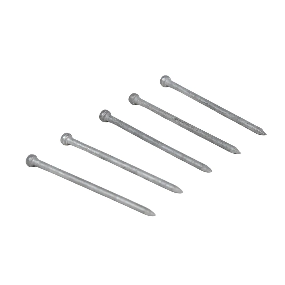 Hot Dipped Galvanized Jolt Head Bright Nails for Interior Fastening