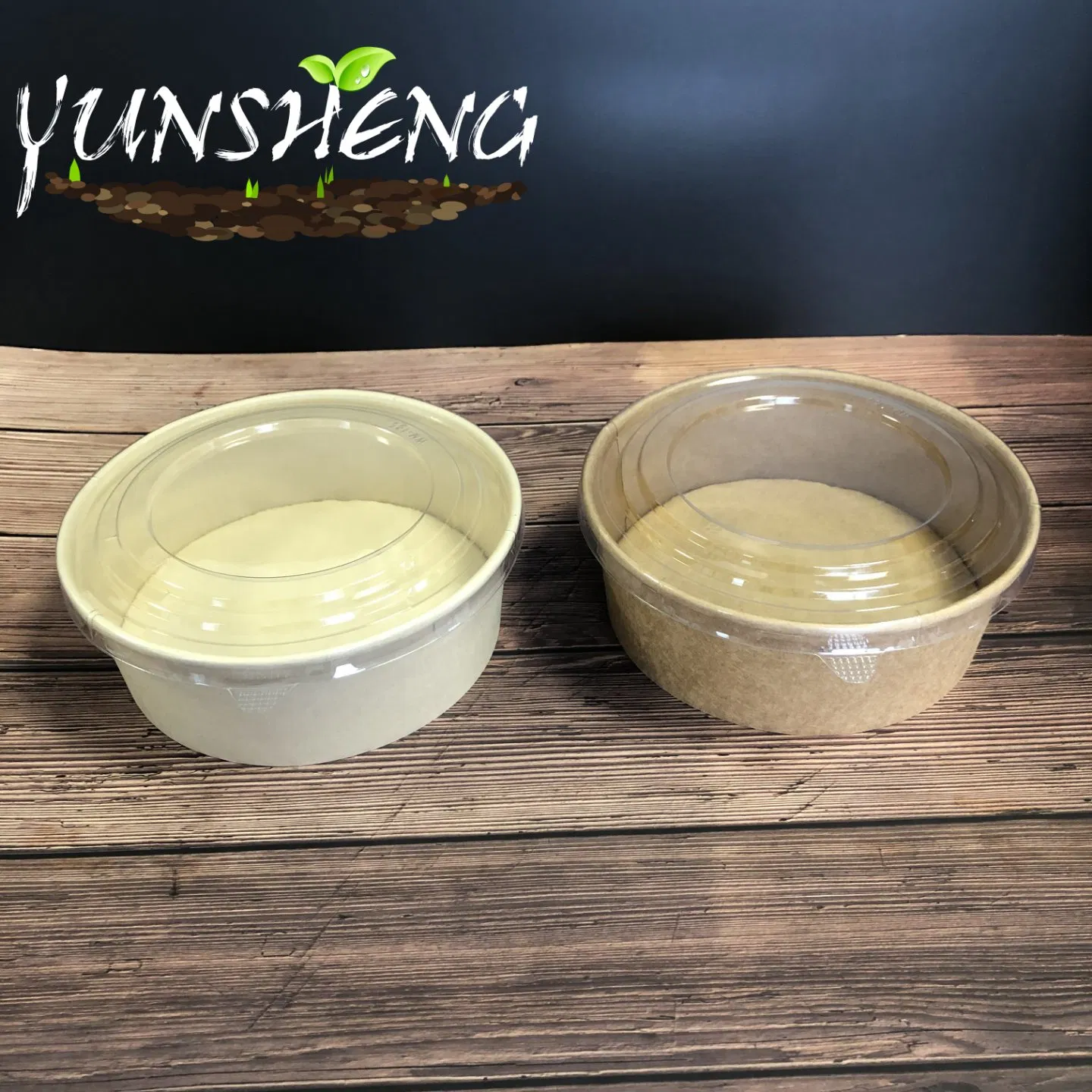 Compostable Disposable Paper Soup Bowl/Salad Bowl for Party or Dinner