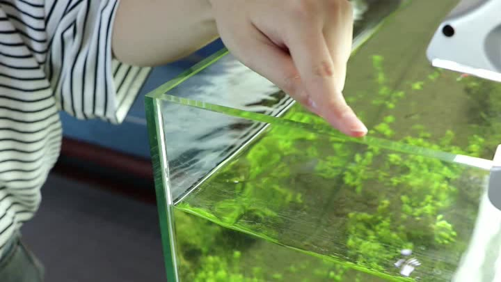 Hot Sale Physically Tempered Home Products Durable Wholesale Unique Design Tinted Glass
