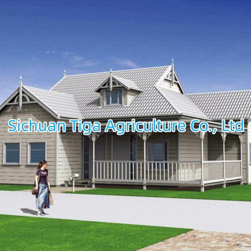 Fast Installation Steel Frame Structure Prefab Steel Villa for Apartment/ Hotel