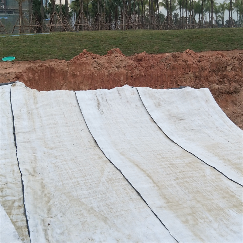Ecological Breeding Farm Artificial Fish Pond Pool Gcl Bentonite Waterproofing Blanket Geosynthetic Clay Liner for Lagoon Liners