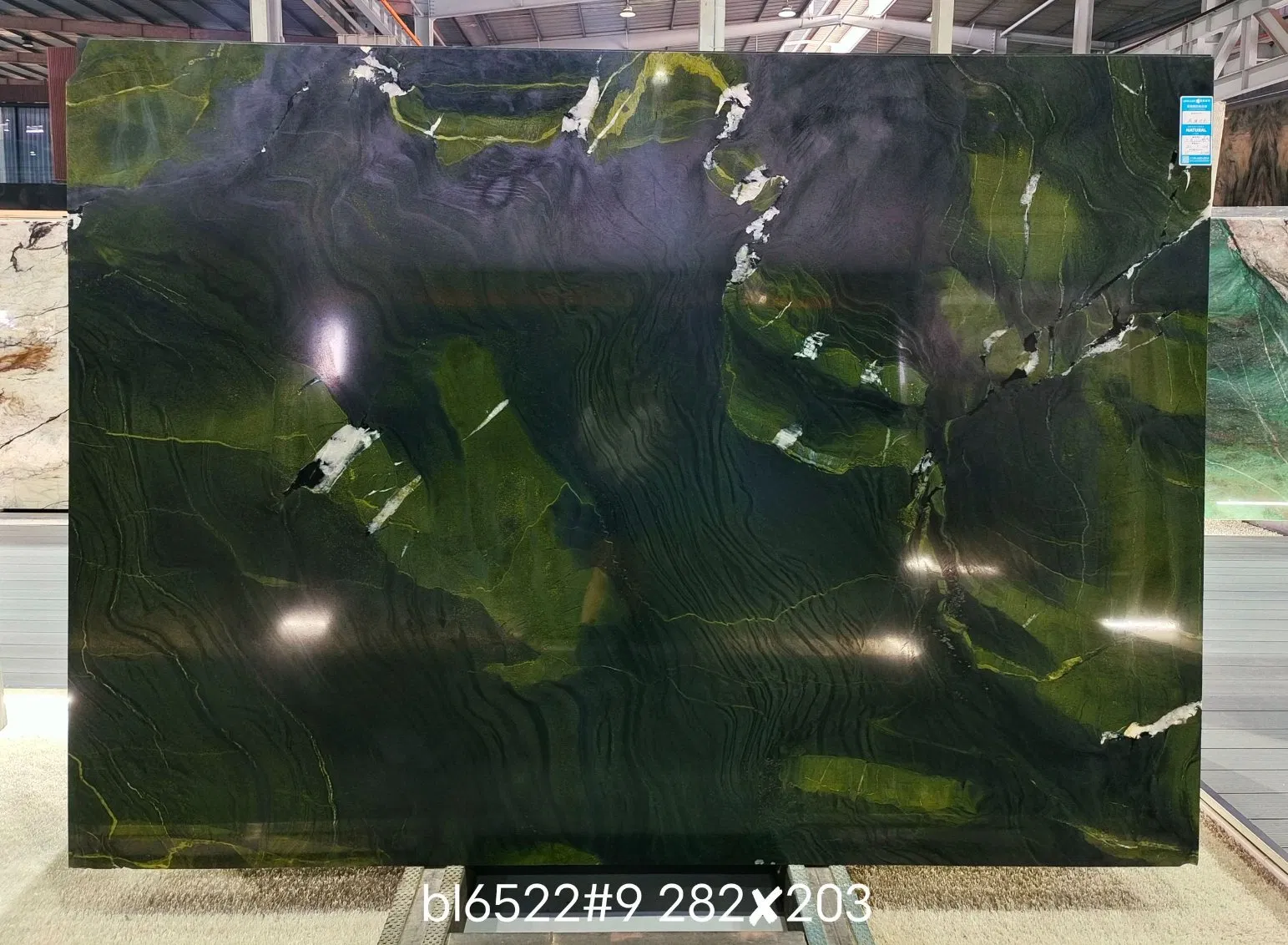 Avocatus Green Quartzite Polished Tiles&Slabs&Countertop