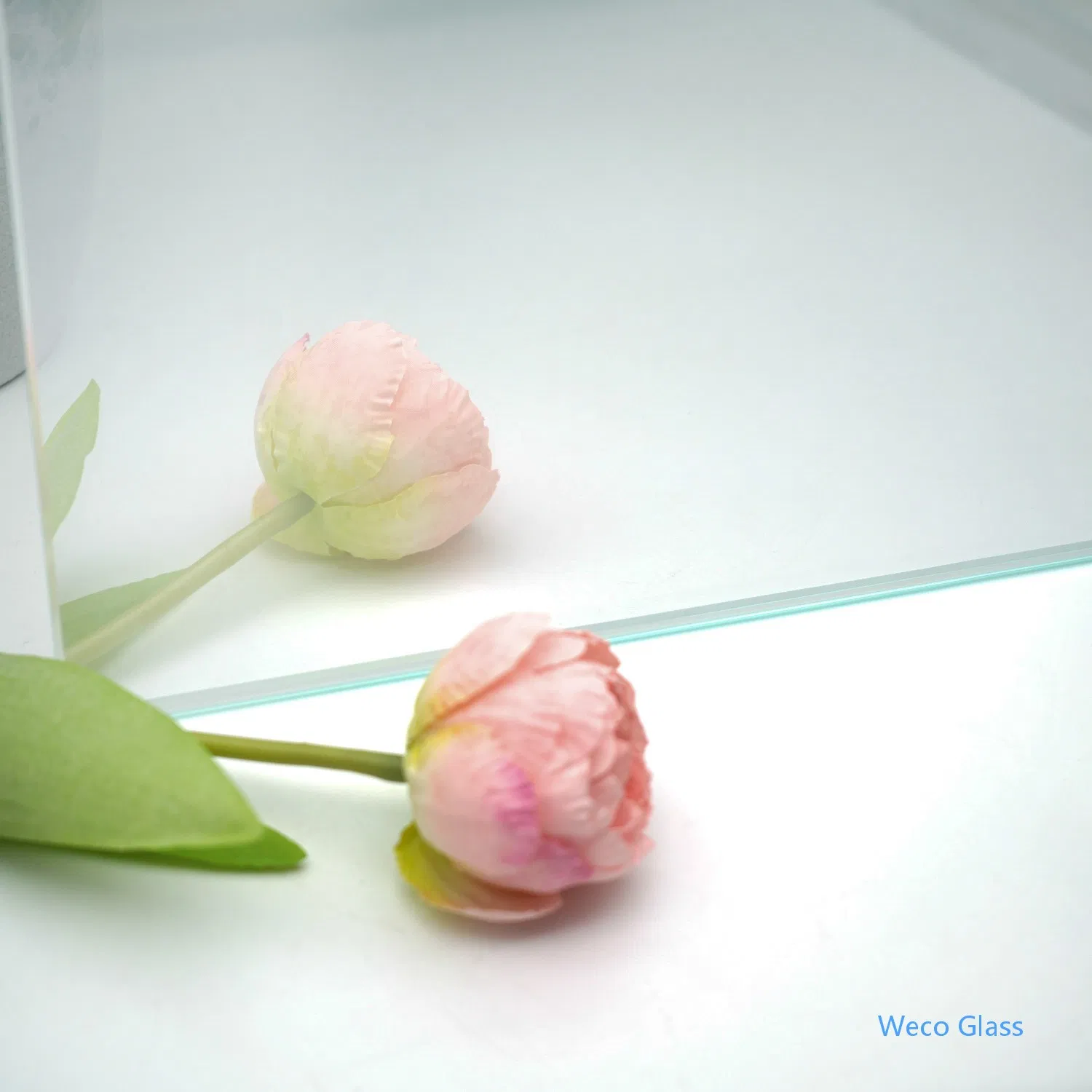Frosted Clear Float Acid-Etched Glass for Bathroom and Shower Enclosures