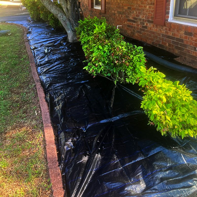 Best-Price Customizable Ground Cover for Garden Landscape