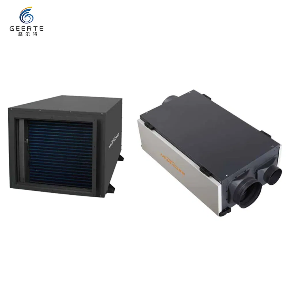 Commercial Ceiling Dehumidifier Industrial Dehumidifier Home Lgr Dehumidifier for Swimming Pool