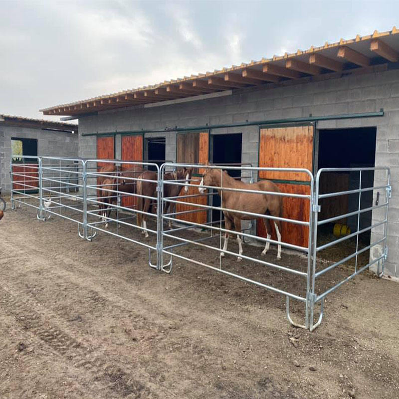 Durable American Cattle Panels for Farm and Ranch Use