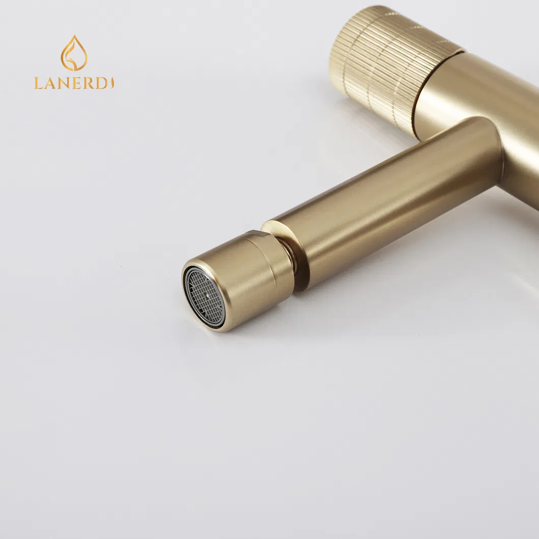 Смеситель для биде с вращающимся изливом, нержавеющая сталь