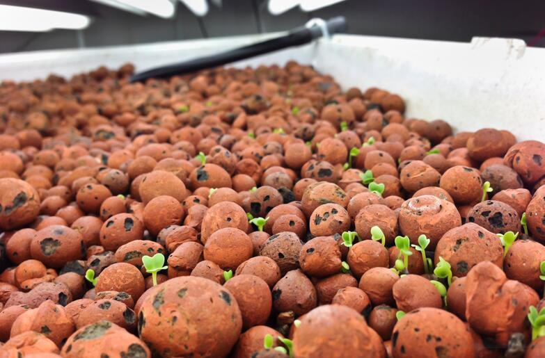 8-12mm Hydroponic Growth Media Expanded Clay Balls Clay Pebbles Leca