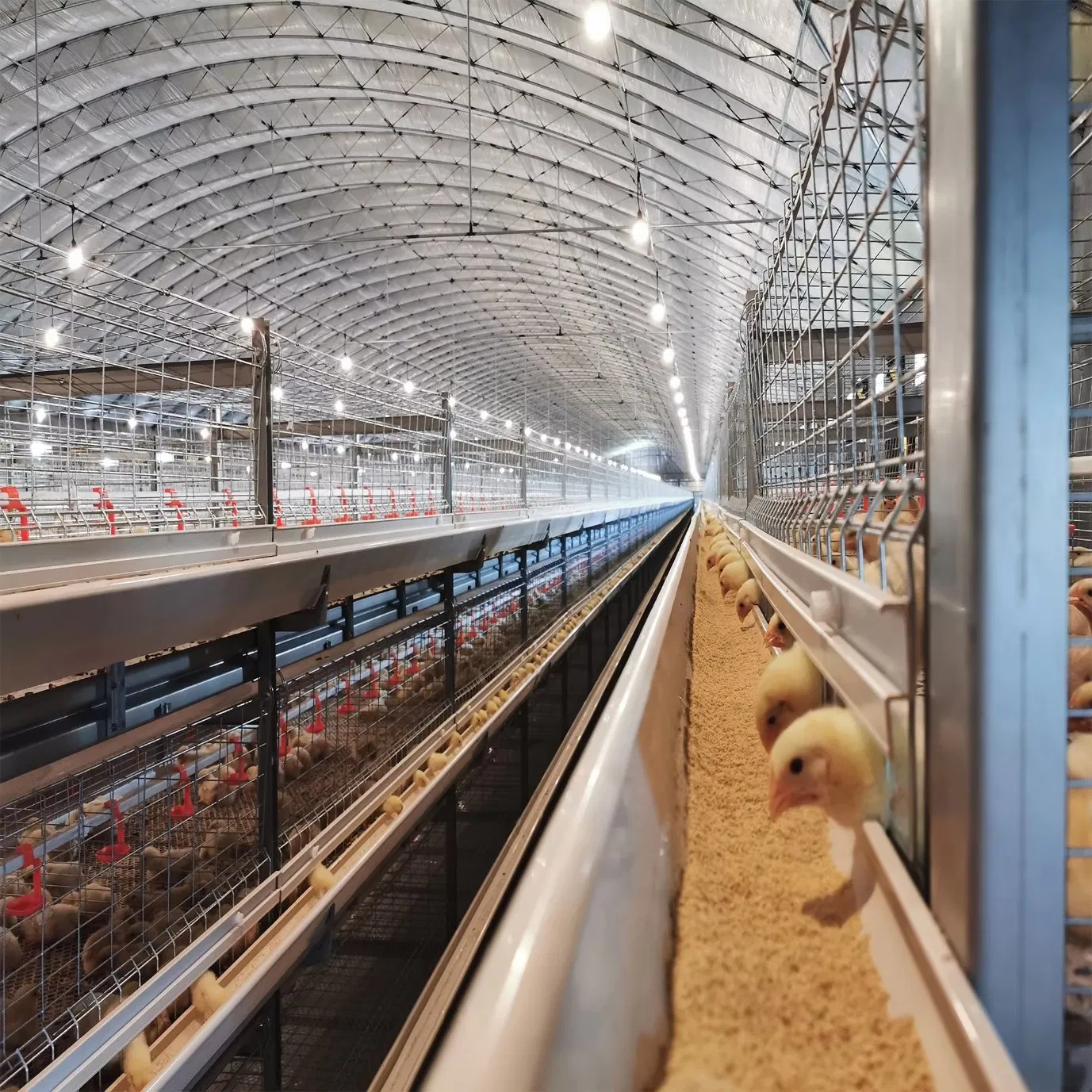 Large Capacity Modern Poultry Farm Steel Structure Animal House Layer/Broiler Chicken Coop Building for Automatic Battery Cage