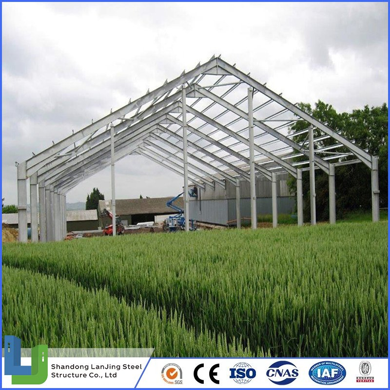 Industrial Stable Wholesale Modern Prefab Sandwich Panel Heavy Steel Structure for Frame Storage Steel Structure Building Construction