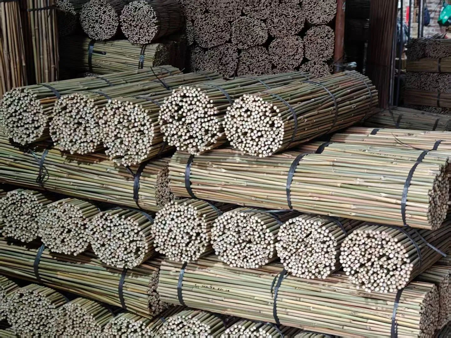 High Quality Nature Bamboo Cane Stake Dia. 22-24mm X 300cm for Plants Grow and Decorative