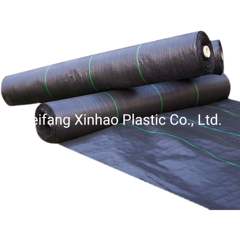 Manufacturers Selling Black PP Weed Control Cloth