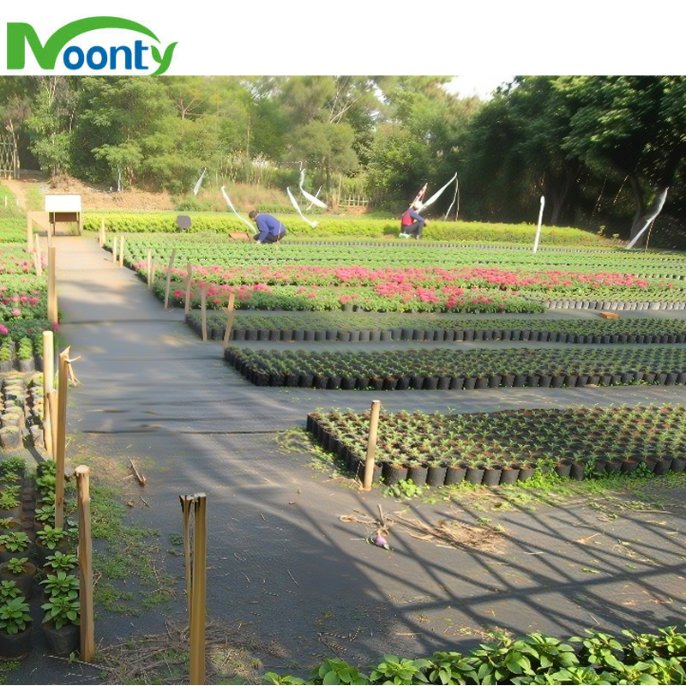 Durable PE Ground Cloth Weed Control Fabric Anti Grass Ground Cover