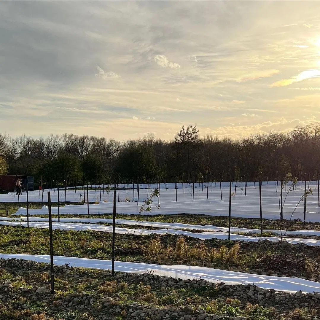 High Quality/Permeable Geotextiles for Landfills/Solid Waste Disposal