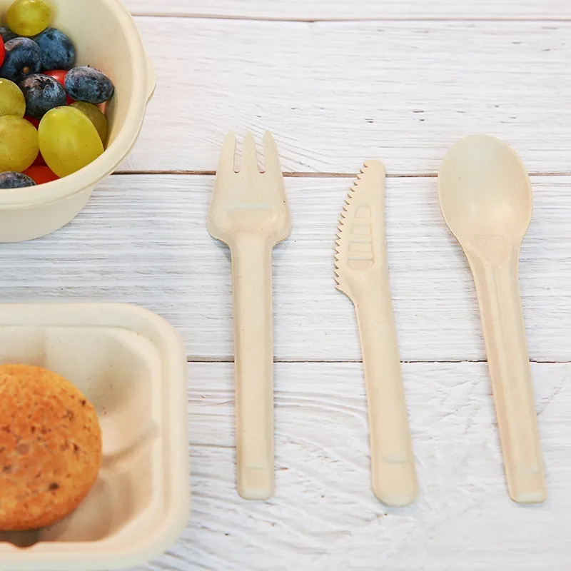 Biodegradable Cutlery Sets Eco-Friendly Sugarcane Bagasse Disposable 6inch Spoon Takeaway