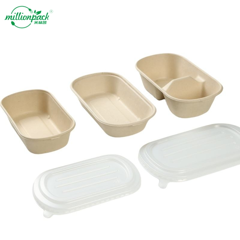 Natural Unbleached Bagasse Pulp Square Container with Lid for Eco-Conscious Consumers