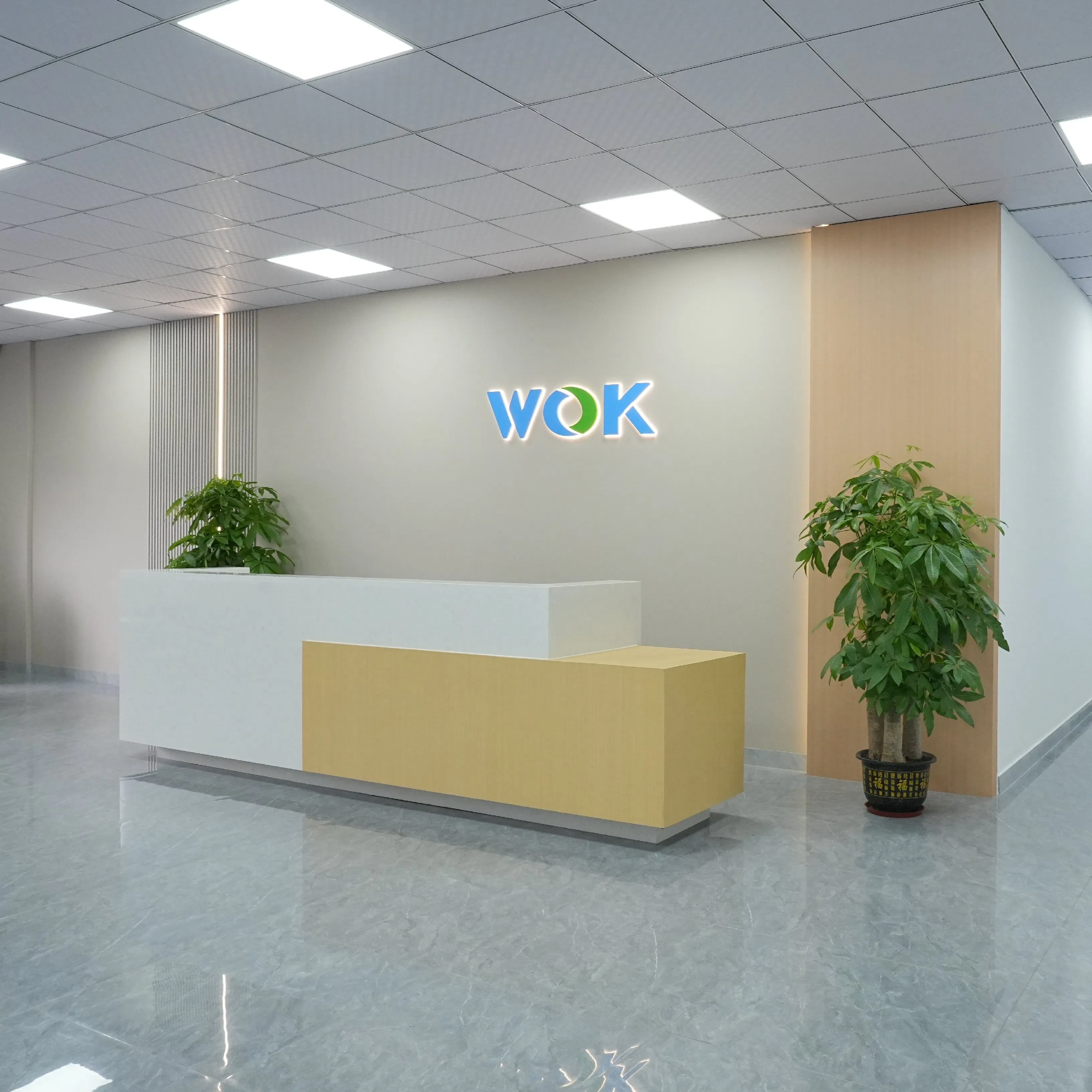 Multi-Color Electric Fireplace with Remote Control and Brightness Adjustment