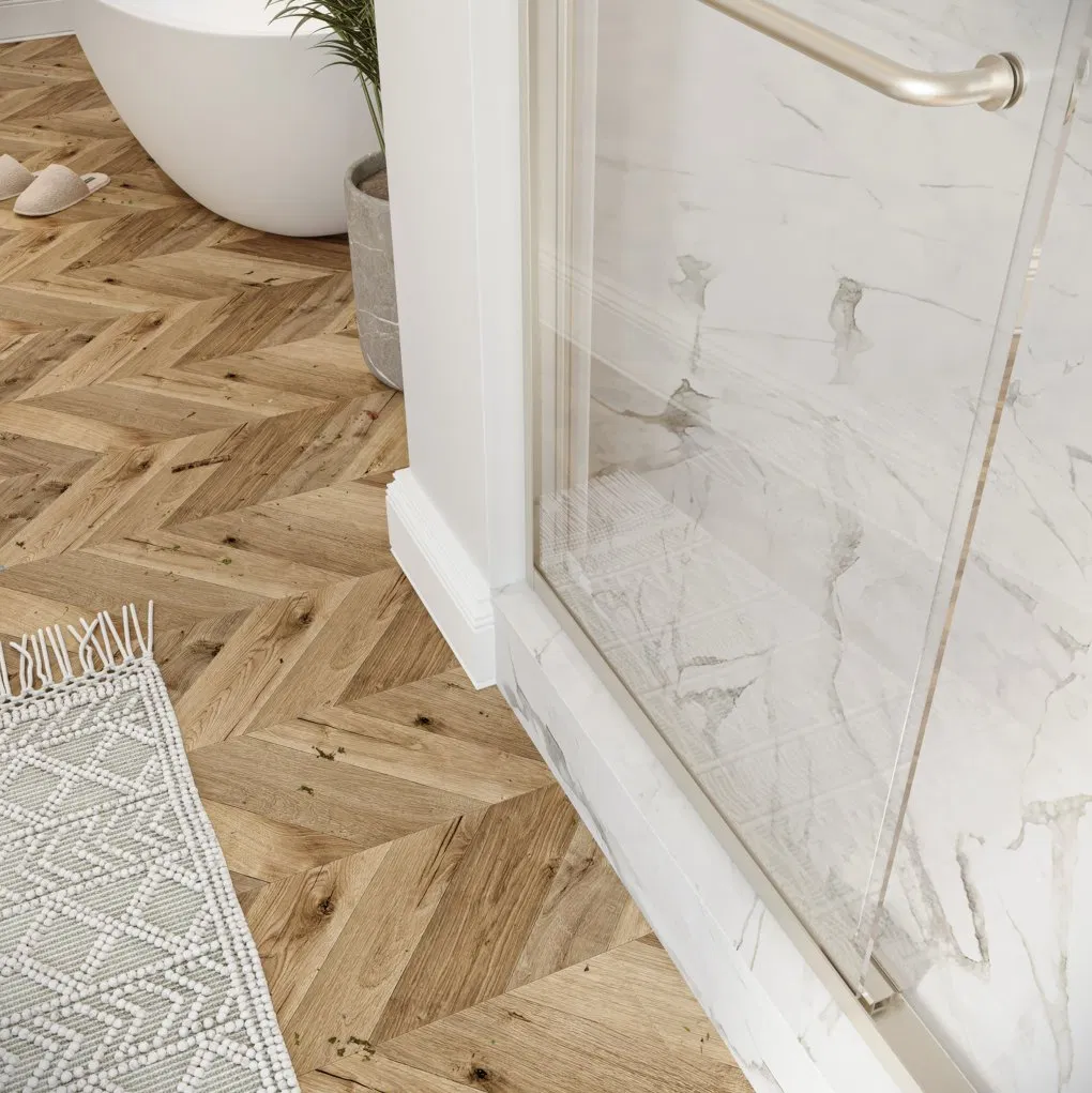 Idl Modern Frameless Glass Bathroom Waterproof Double Sliding Shower Door