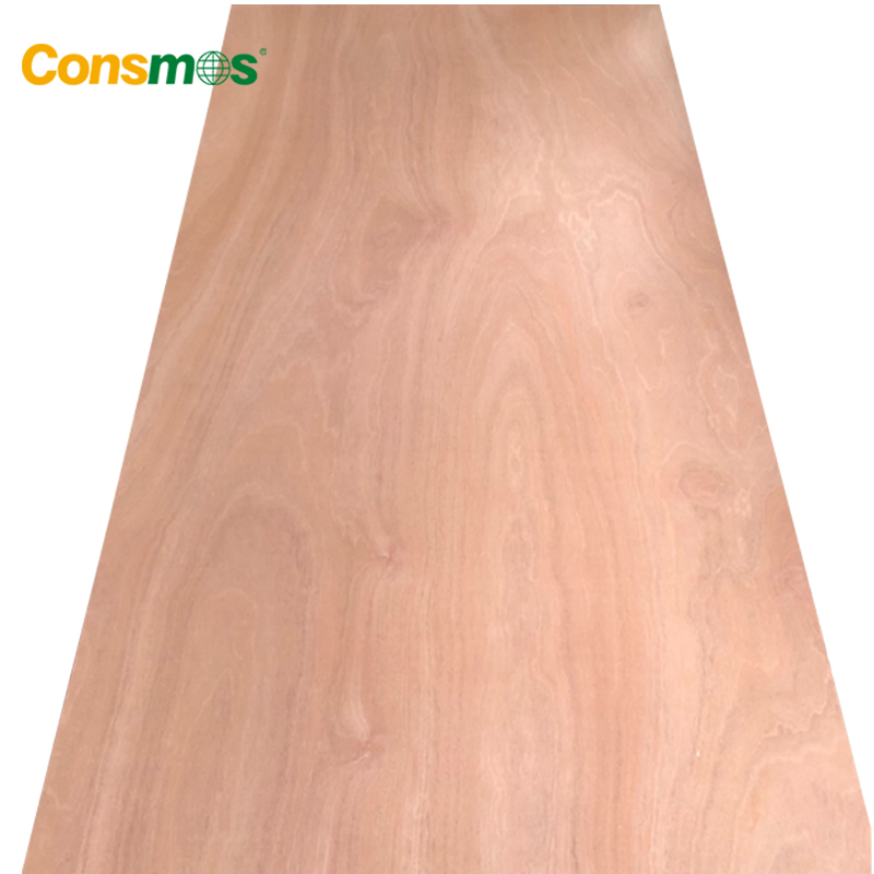 Comsmos 4X8 2mm/3mm/9mm/18mm Sapele Wood Veneer Commercial Plywood for Furniture/Construction