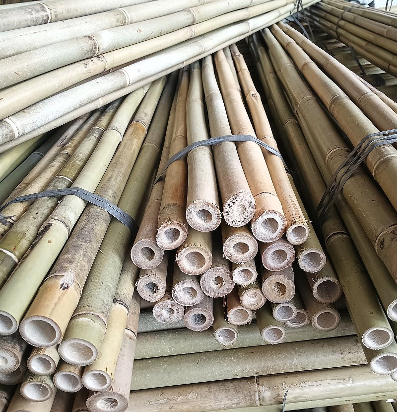 Bamboo Handle /Cheap and High-Quality Bamboo Poles