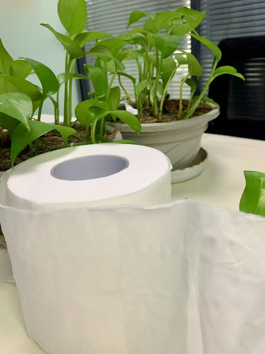 Factory Direct Sale Soft Toilet Paper White