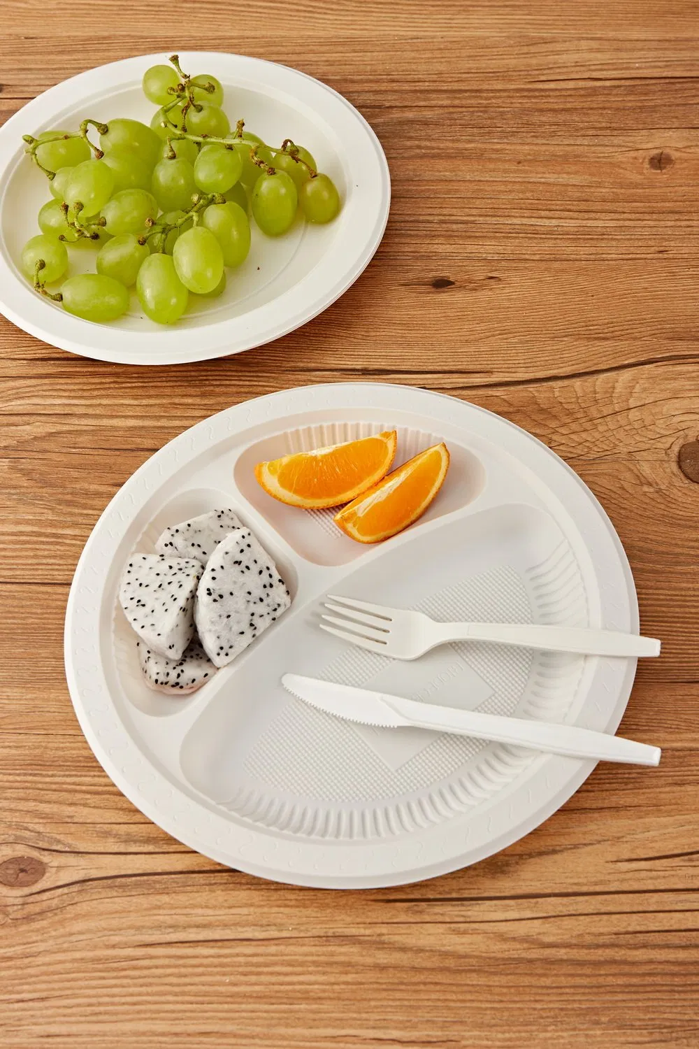 Biodegradable Eco Friendly Disposable Plates 10 Inch for Meal Party Camping Picnic