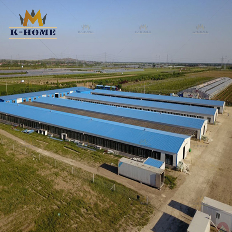 Prefabricated Industrial Modular Steel Warehouse Building and Mental Workshop