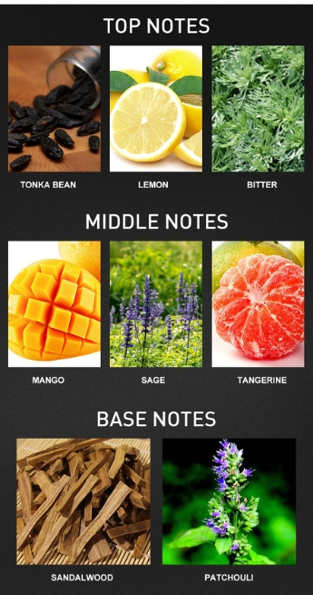 Мужской парфюм Infinity Wooden Fougere, 100 мл