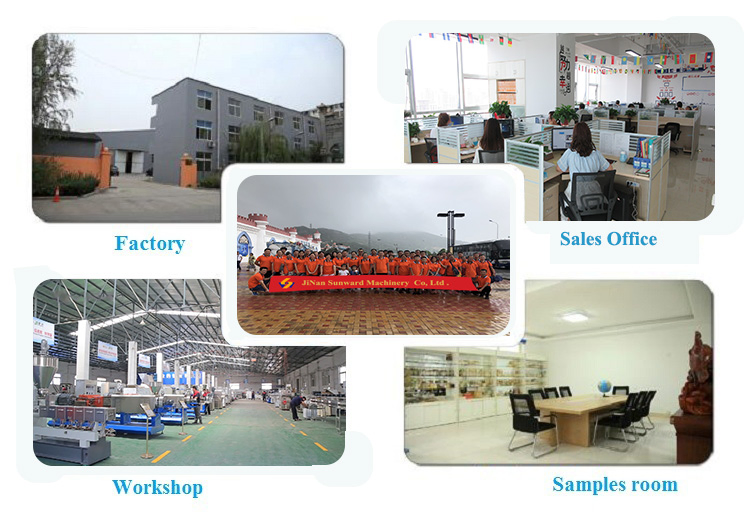 Disposable Straw Extruder Price / Edible Straw Machine / Rice Straw Making Machine