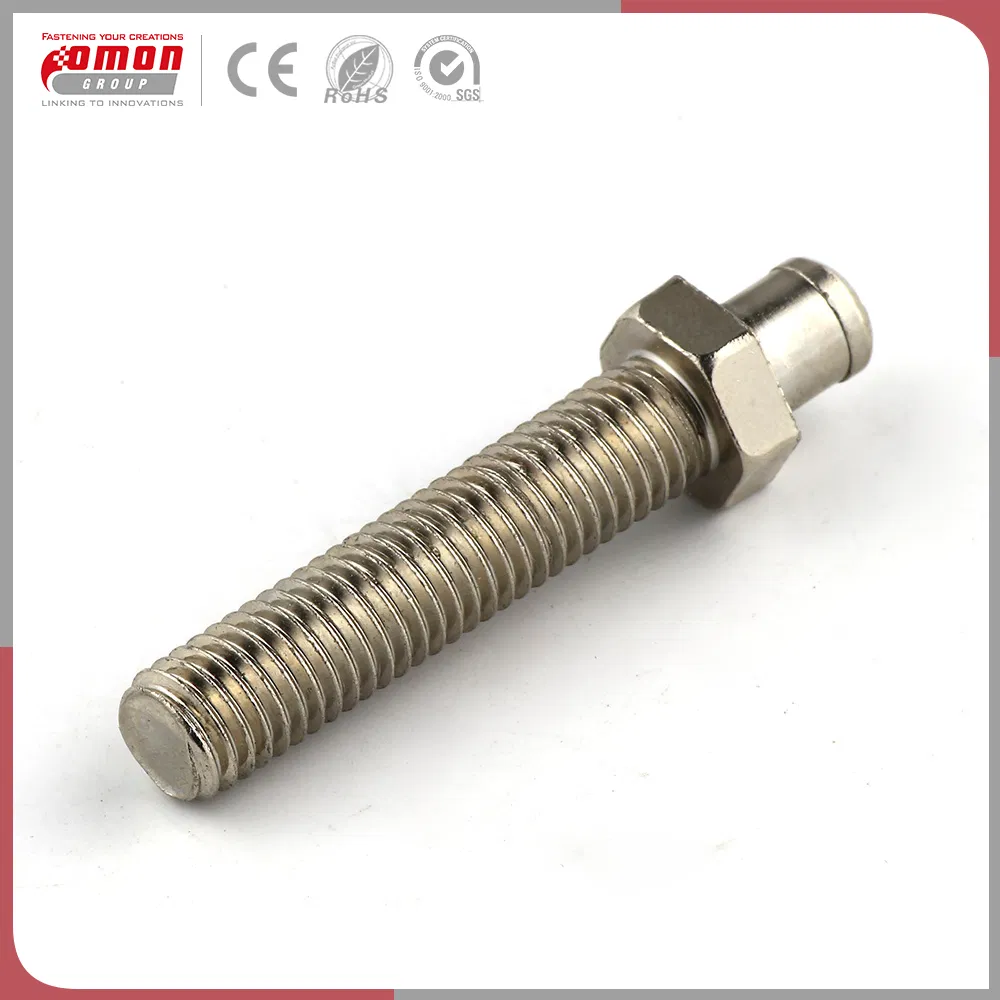 Customized Design Flange Stud Fastener Anchor Bolt for Building
