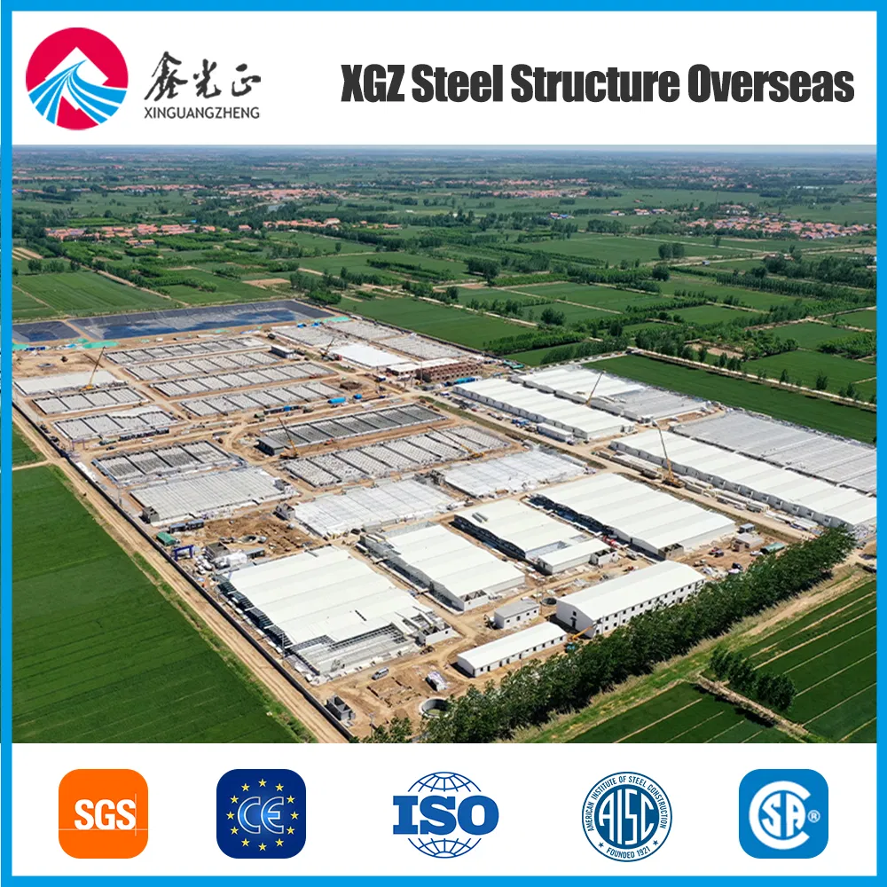 Customized Fire-Proof Metal Frame Structures for Efficient Industry Use