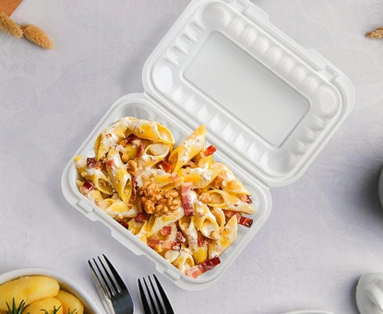 Premium Hinged Lid Takeout Box for Cake and Pizza Storage Solutions