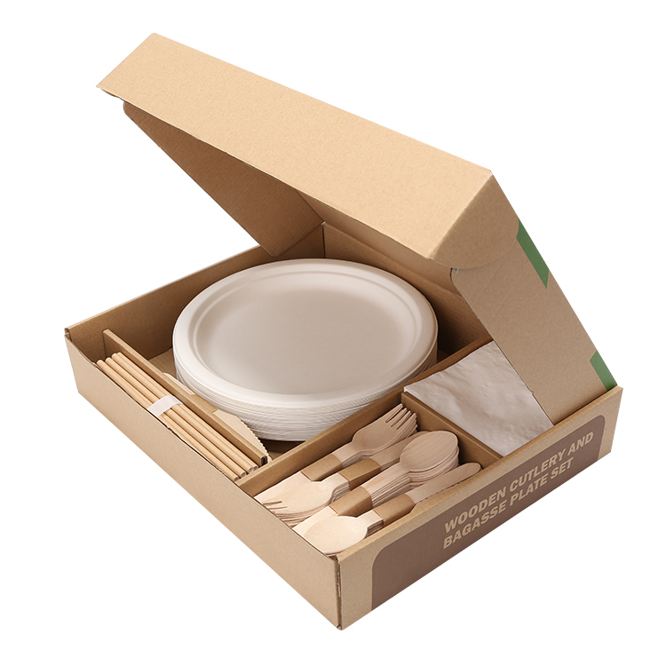 Christmas Home Party Dinnerware Set, Biodegradable Disposable Bagasse (40-people)
