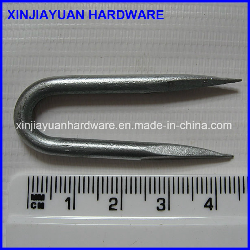 25kg/CTN Q195 Carbon Steel Polish Fence Staple U Type Nail