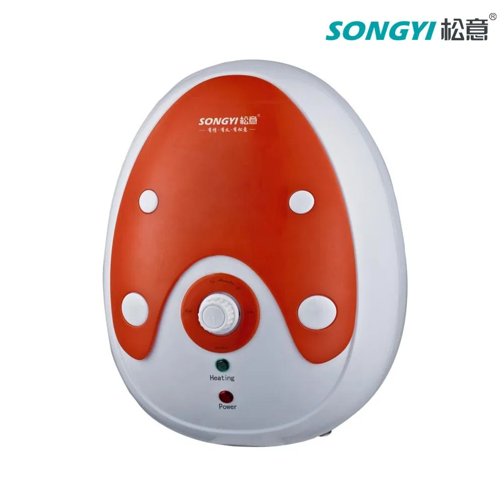 Storage Instant Electric Water Heater with Fast Heating for Large Family Constant Temperature Control