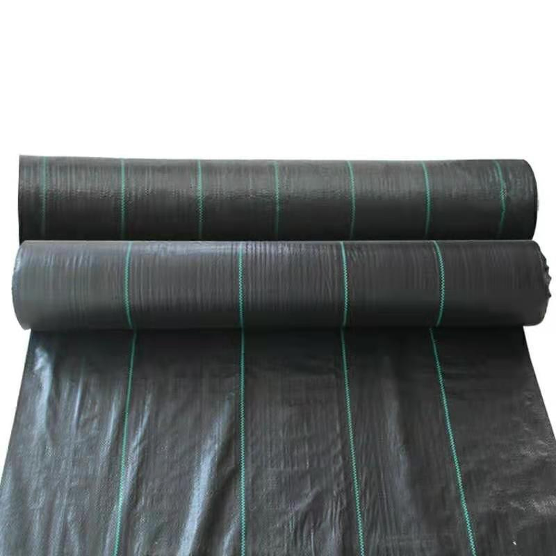 Durable Weatherproof Tarp Sheet for Effective Weed Control